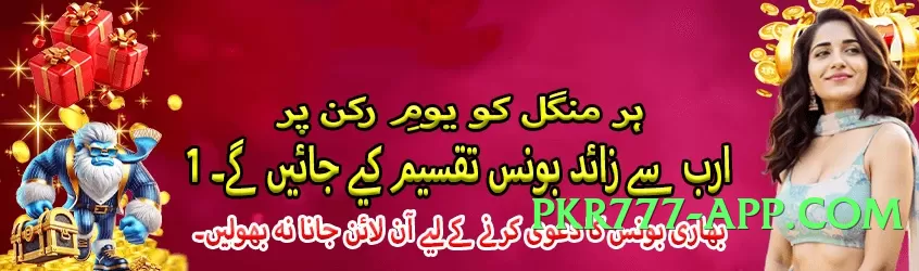 Pro pk365 v4.8.6 Screenshot 4